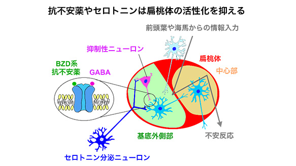 社交不安障害 あがり症 の治療方法 銀座心療内科クリニック